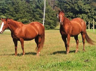 1301 Bethany Rd, Nicholasville, KY 40356