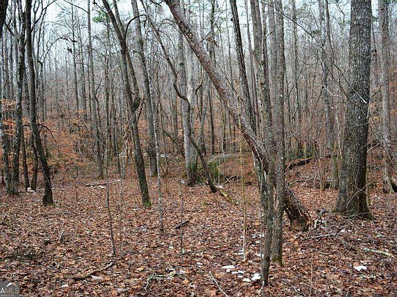 5th image of 0 Willow Springs Rd