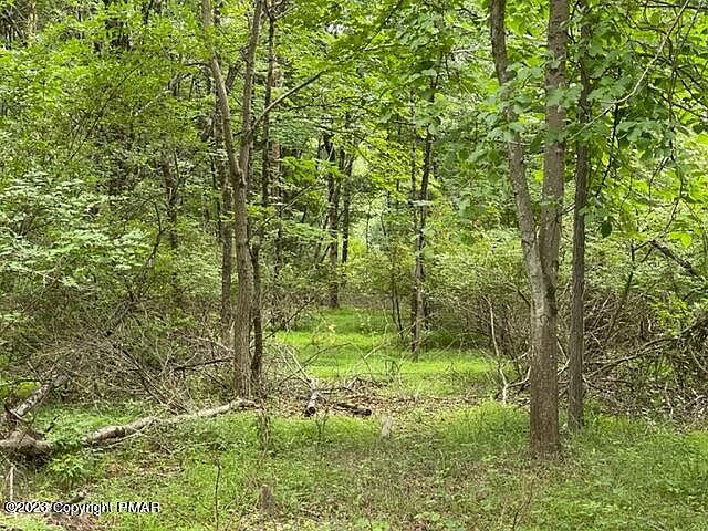 1st image of Cottontail Ln