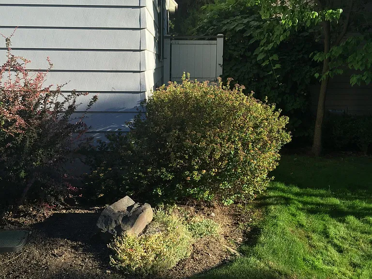 443 W 28th Ave — Photo 18