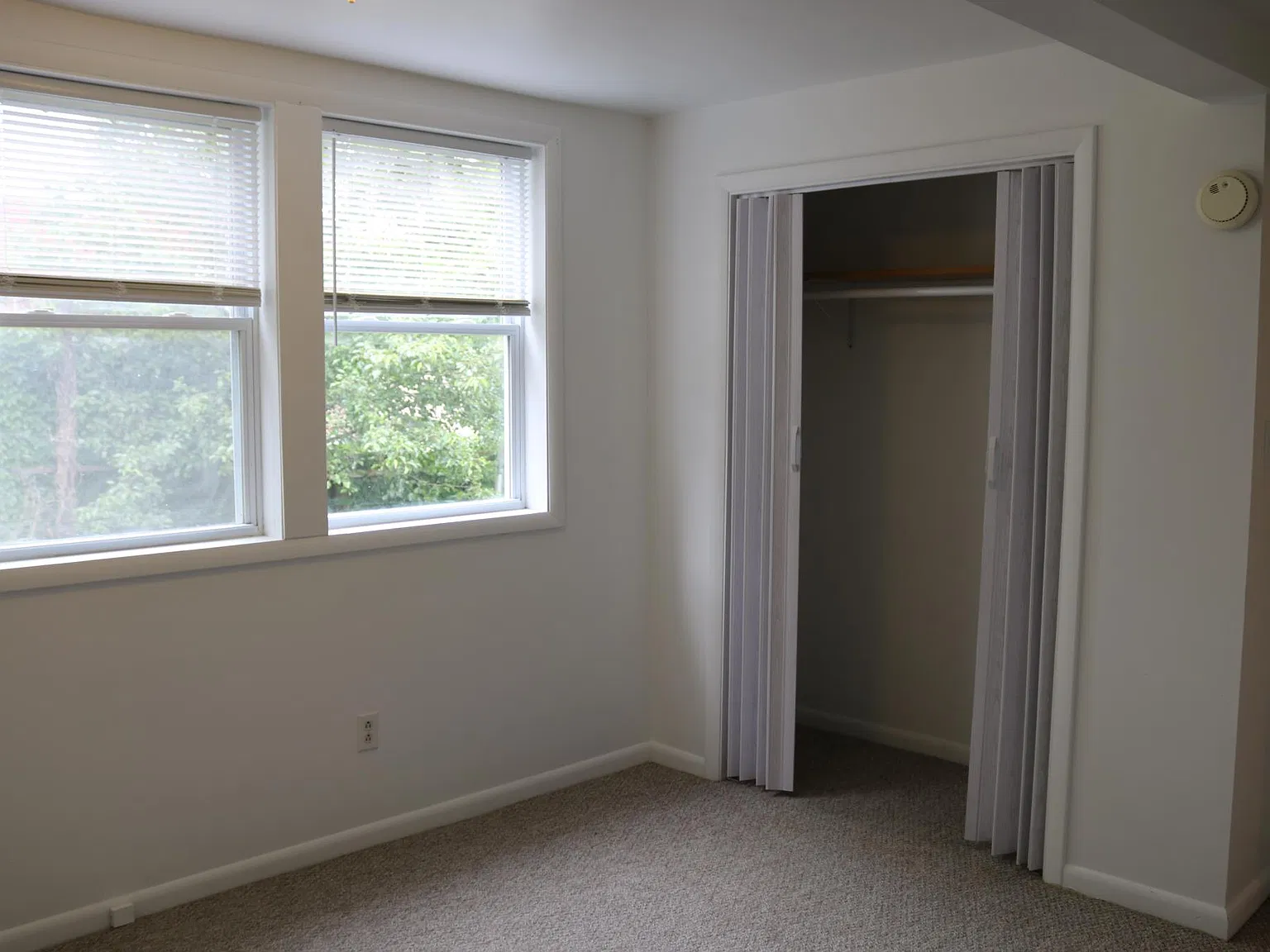 241 Elm St — Photo 4