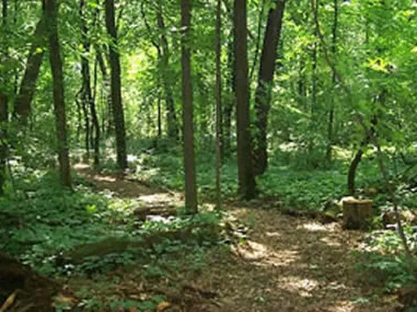 481 Old Holderford Rd, Kingston, TN 37763