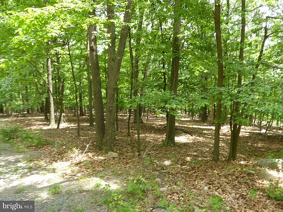 4th image of 39 Wild Apple Ln