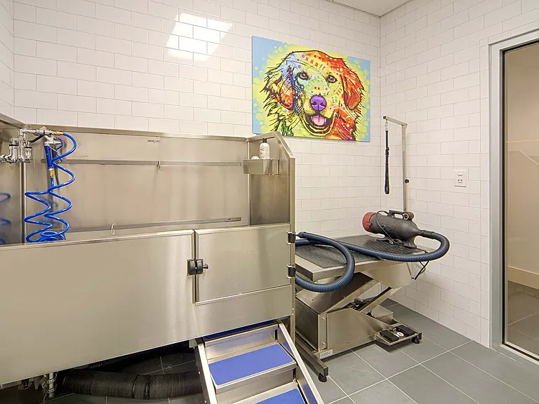 Convenient on-site pet wash station