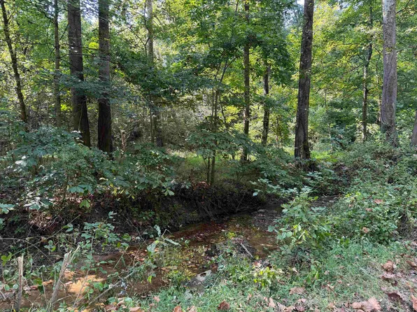 Forest Avenue & Woodland Ct, Ashland, KY 41101