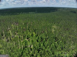 0 Cow Ford Bridge Rd, Adrian, GA 31002