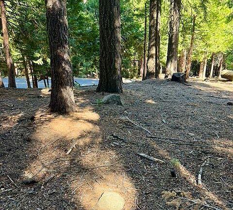 5th image of 1534 Sierra Pkwy
