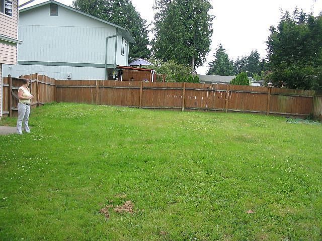 back yard from north