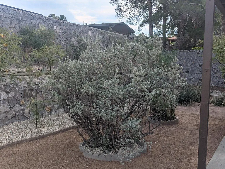 3324 Wesley Dr — Photo 46