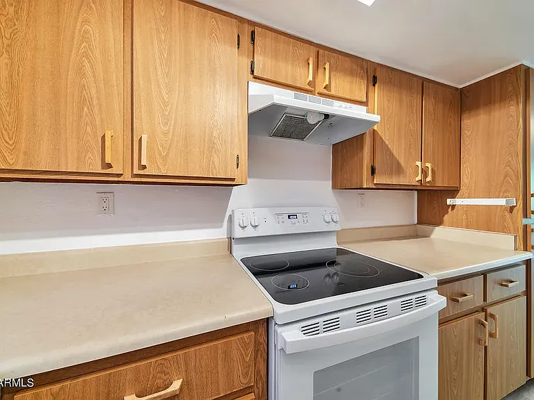 1215 E Lemon St #205 — Photo 8