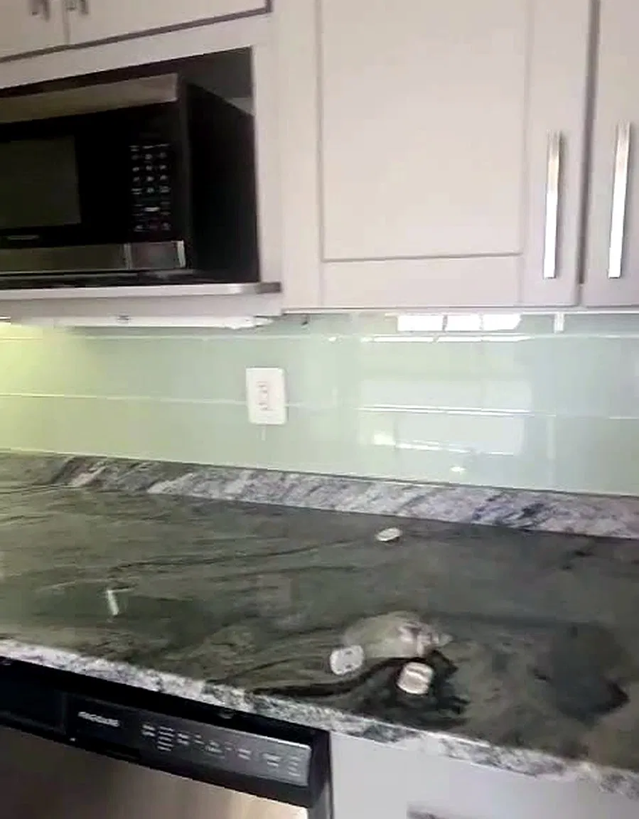 1 bed, 650 sqft, $1,850 — Photo 3