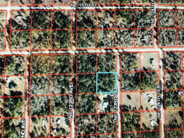 0 NE 123RD TERRACE LOT 2, WILLISTON, FL 32696