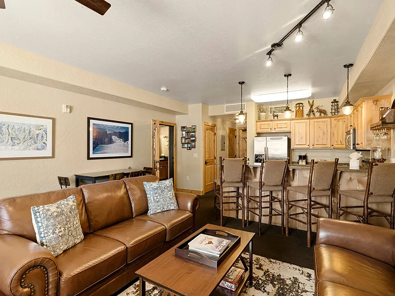 Living Room with Sleeper Sofa