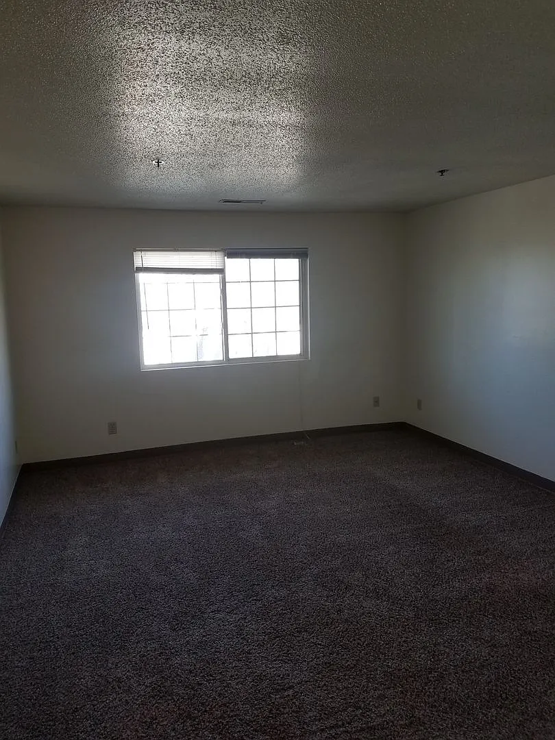Lillienthal - 514 S. Johnson Apartments — Photo 4