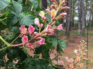 5 Heath Rd, Wareham, MA 02571