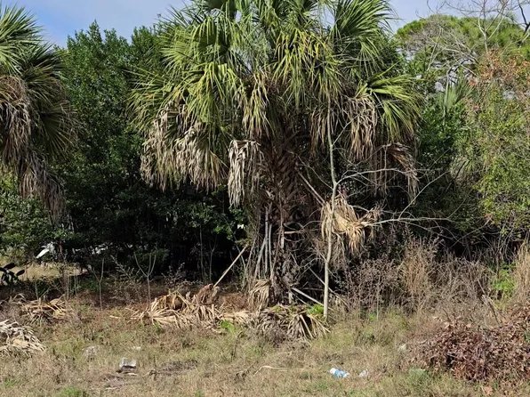 330 Iris St, Cocoa, FL 32927