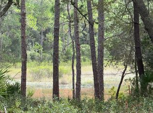 0 NE 114th Avenue Rd Lot 30, Fort Mc Coy, FL 32134