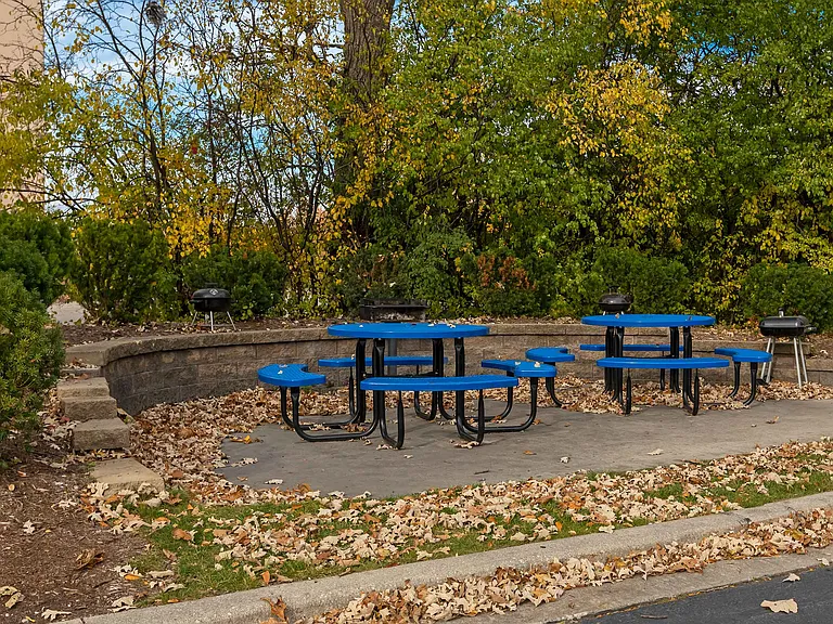 Picnic Area