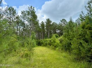 Sones Chapel Rd, Carriere, MS 39426