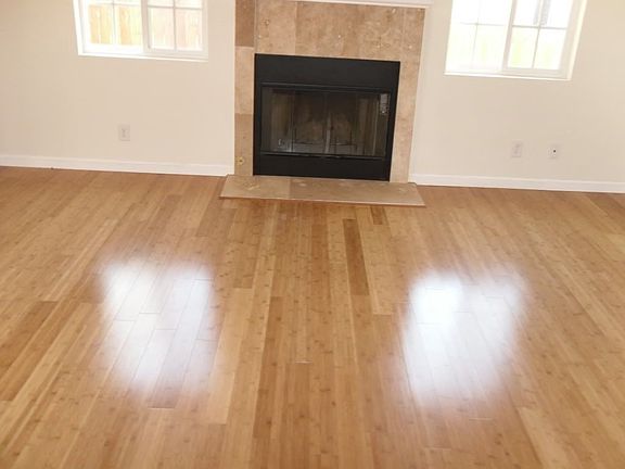 Master Bedroom w/ Fireplace
