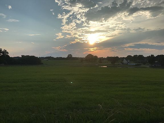 My view From my back patio