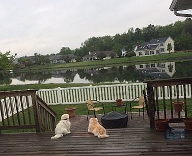1st image of 10019 Mill Pond Dr
