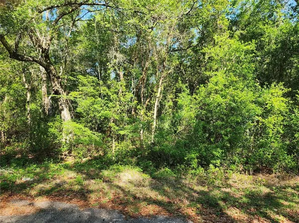 0 Guava Terrace Pl #1, Ocklawaha, FL 32179