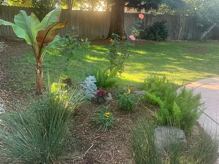 3109 Joellen Ct — Photo 30