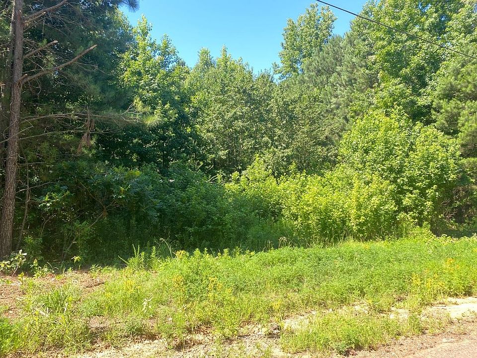 2nd image of Pine Wilderness Dr