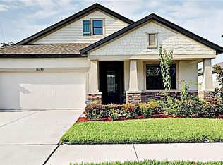 12280 Creek Preserve Dr, Riverview, FL 33579