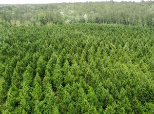 0 Deep Creek Rd, Wiggins, MS 39577