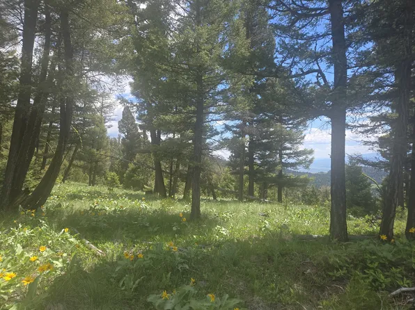 2 Big Sky Ridge Ln, Drummond, MT 59832