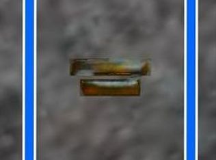 1623 Tuck St, Chesapeake, VA 23322