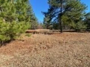 104 Ellens Point, West End, NC 27376