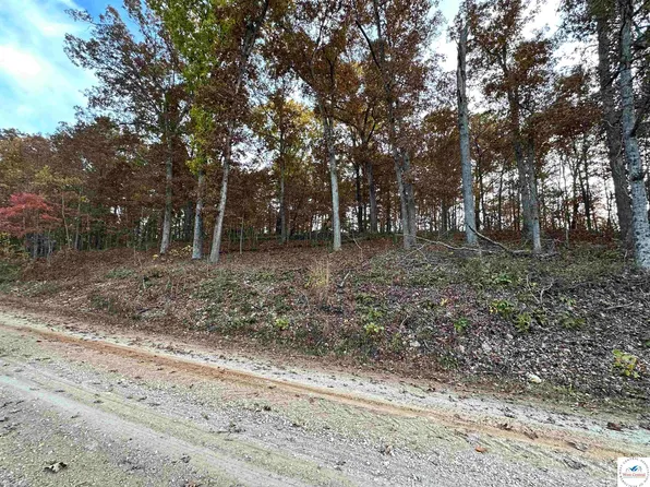 1278 Nine 900 Ken Dr, Edwards, MO 65326