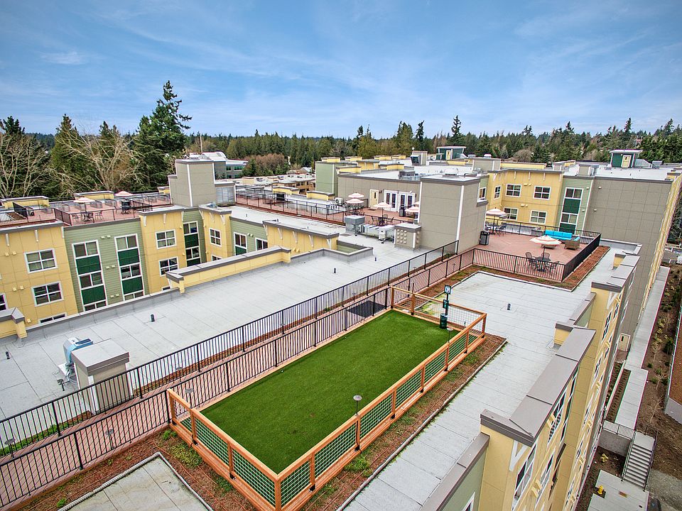 View of Sun Deck and Dog Park
