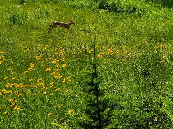 000 West Farms Road, Canaan, NH 03741