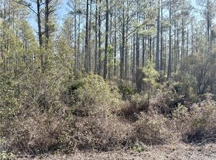 18 Satilla Plantation, Waynesville, GA 31566