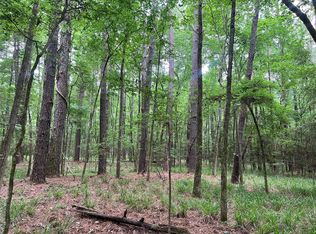 0 Wilderness Rd, Pointblank, TX 77364