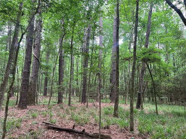 0 Wilderness Rd, Pointblank, TX 77364