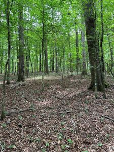 Catbird Ln, Magnolia, MS, 39652