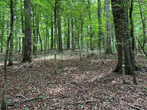 Catbird Ln, Magnolia, MS 39652