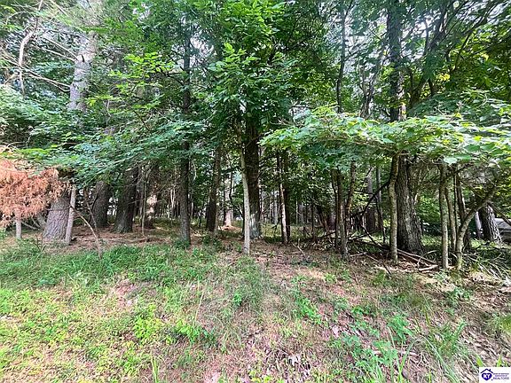 5th image of 148 Bent Pine Ln