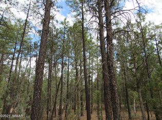 1561 S Jimson Loop, Show Low, AZ 85901