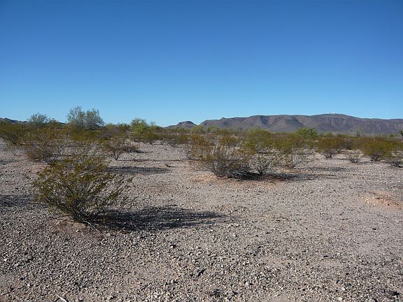 BLM land to the west