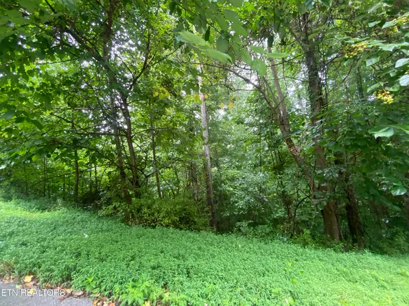 Eagles Cove Pkwy, Maynardville, TN 37807