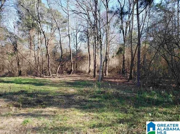 0 Mims Cir #Na, Clanton, AL 35045