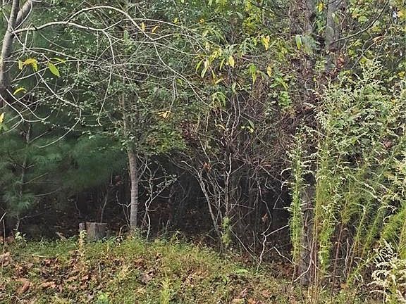 3rd image of LOT 8 Dowell Ridge Cir Lot 8