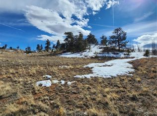 6028 Uintah Trl, Hartsel, CO 80449