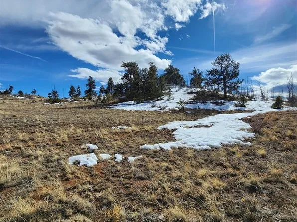 6028 Uintah Trl, Hartsel, CO 80449